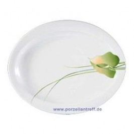 Seltmann Weiden Top Life Hyde Park Breakfast Plate 25 cm